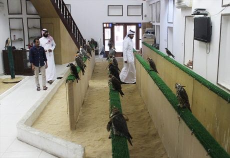 سوق الصقور الدوحة