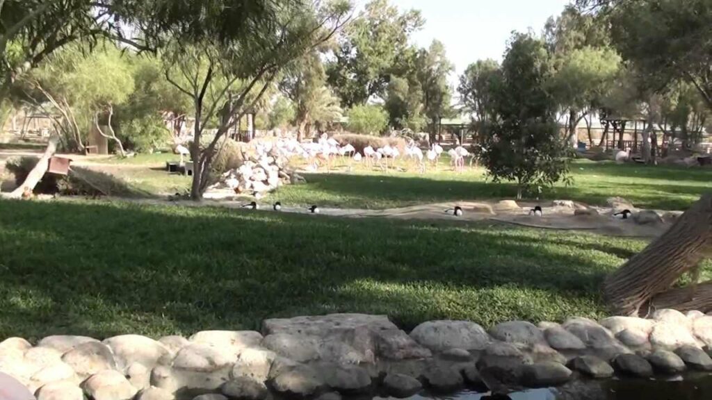 منتزه ومحمية العرين البحرين واحد من أشهر اماكن تمشيه في البحرين