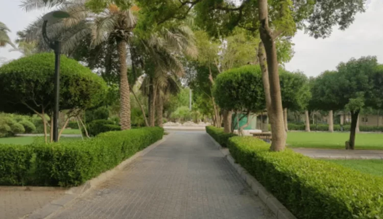 هناك العديد من الأشياء الرائعة التي يمكنك القيام بها في حديقة الفروانية، الكويت، لذا سيكون من الجيد التنزه ورؤية كل الجمال الذي يمكن العثور عليه هناك