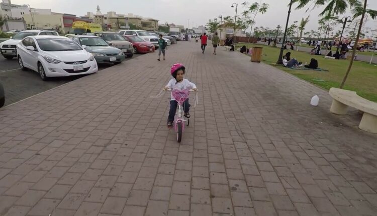 حديقة الفيحاء من أكثر الأماكن جذباً للسيَُاح فهي من أشهر الوجهات السياحية في المملكة العربية السعودية