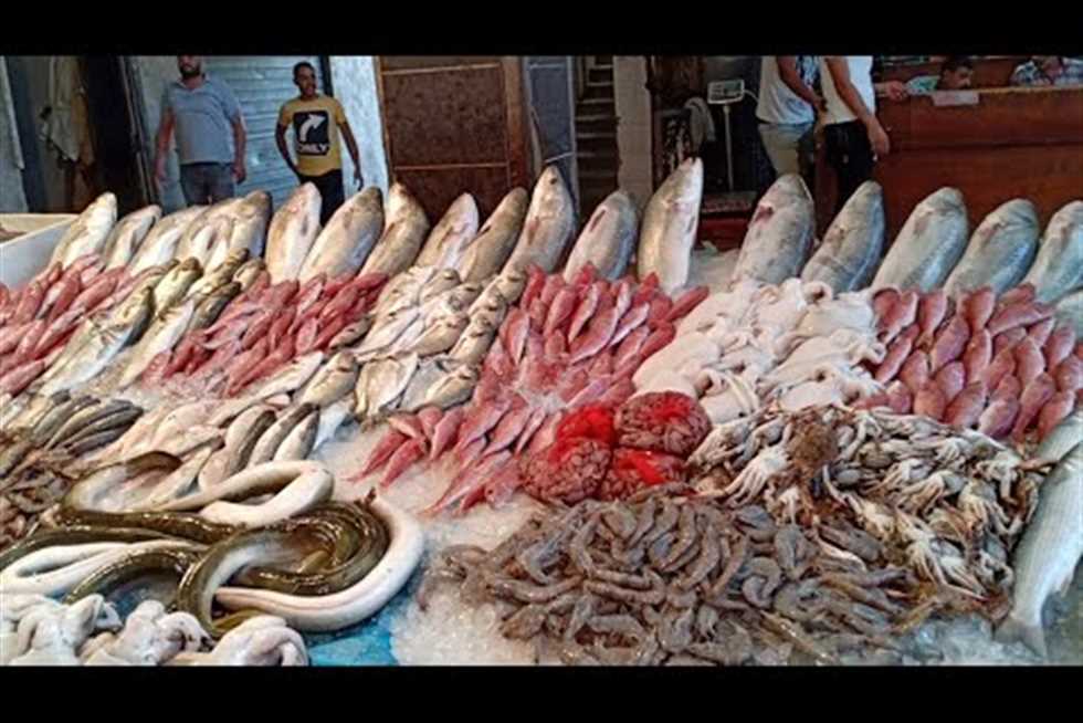 سوق راتب الإسكندرية أفضل سوق سمك في الإسكندرية