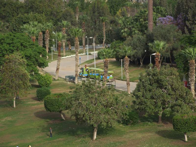 أروع حدائق في الإسكندرية.