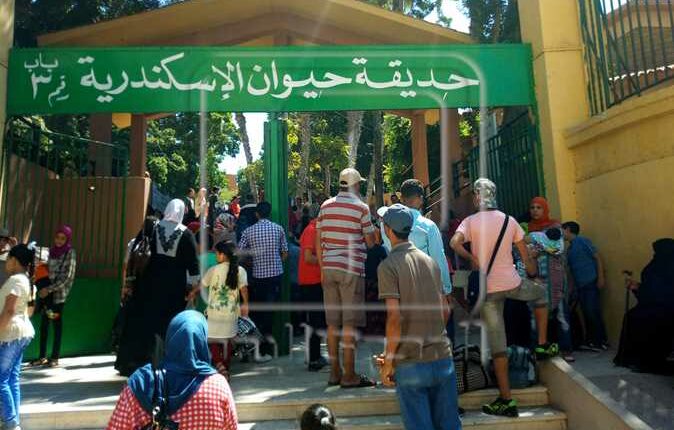 حديقة حيوان الإسكندرية