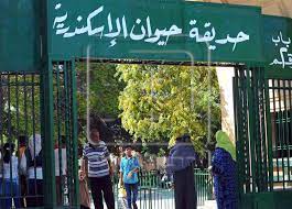 حديقة حيوان الإسكندرية