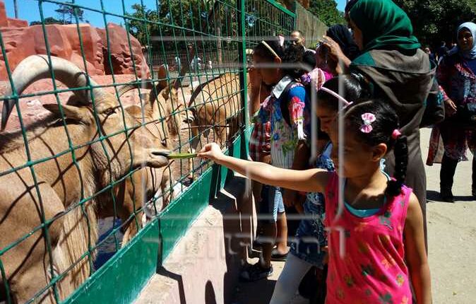 alexandria zoo 3
