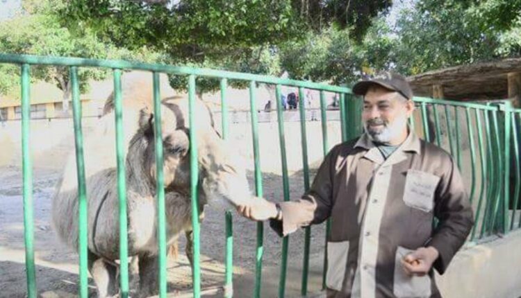 alexandria zoo 4