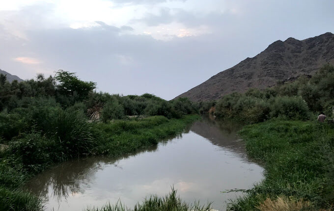 منتزه البيضاء البري من أشهر حدائق المدينة المنورة
