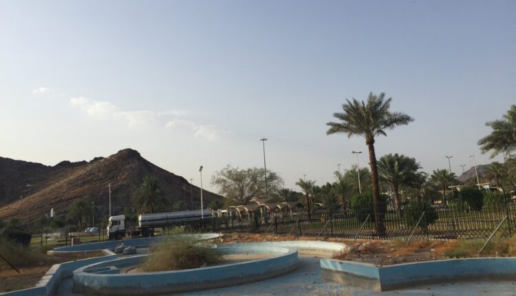 حديقة النخيل المدينة المنورة من أشهر حدائق في المدينة المنورة