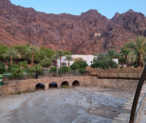منتزة اليخت