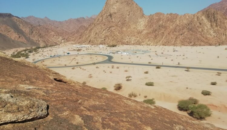 منتزه البيضاء البري