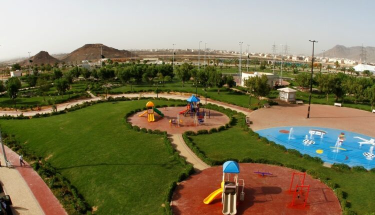 حديقة النخيل المدينة المنورة