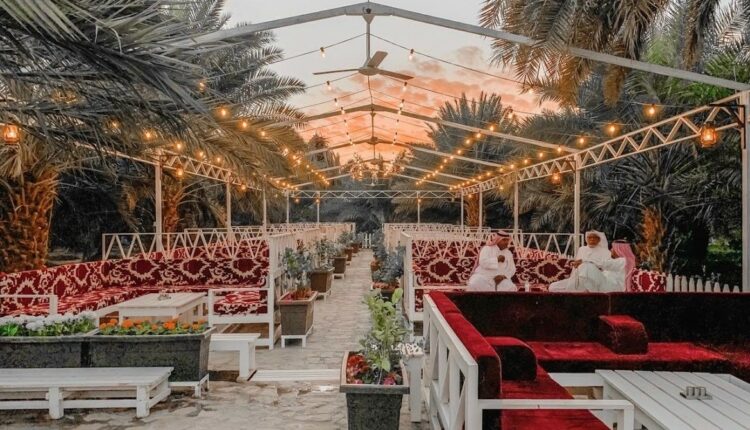 منتزه الهدا 2 الطائف من أشهر وأجمل أماكن السياحة في الطاءف المميزة