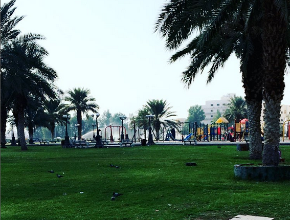 حديقة الخطاطين العزيزية مكة