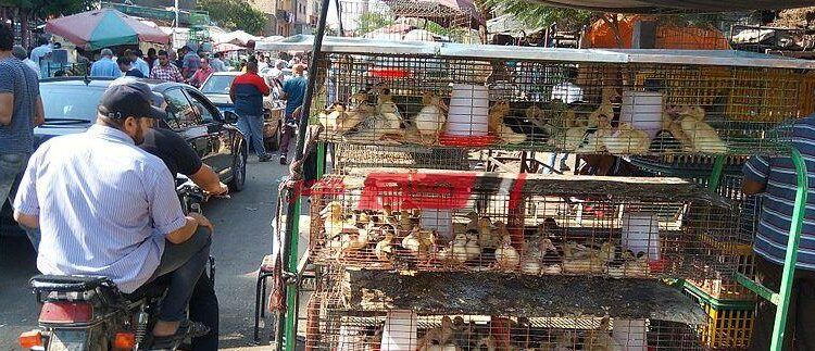 شارع سوق الجمعة مسقط
