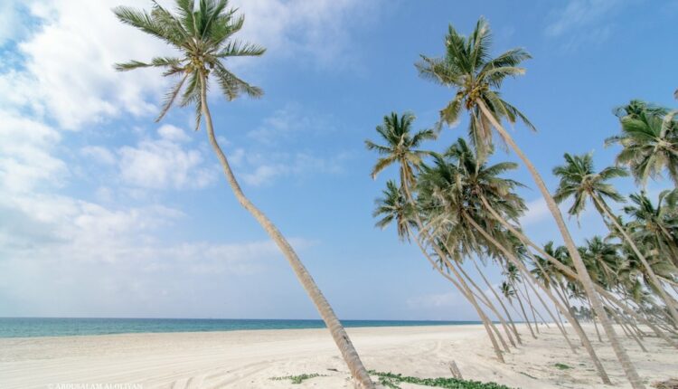 من أجمل شواطئ صلالة المميزة هو شاطئ الحافة