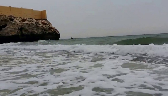 شاطئ المرجان سلطنة عمان