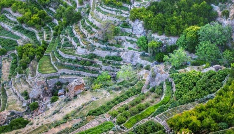 السياحة في صحار عمان أهمها الجبل الأخضر
