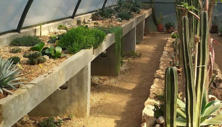 حديقة ديوميدوس النباتية أثينا من أجمل الاماكن السياحيه في أثينا
