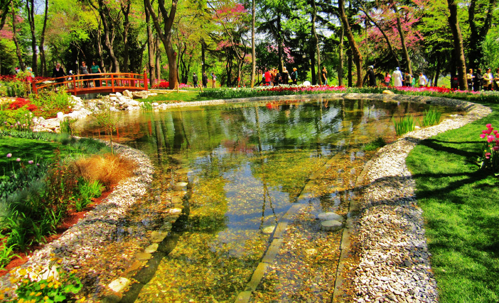 حدائق في عمّان