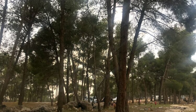 منتزه غمدان الأردن