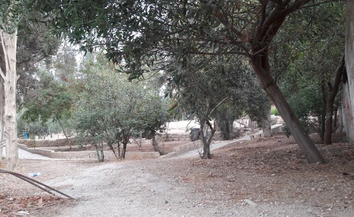 حديقة مركز هيا الثقافي الأردن