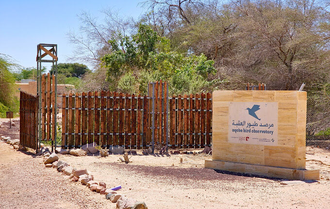 مرصد العقبة للطيور من أفضل خيارات برامج سياحية في العقبة.
