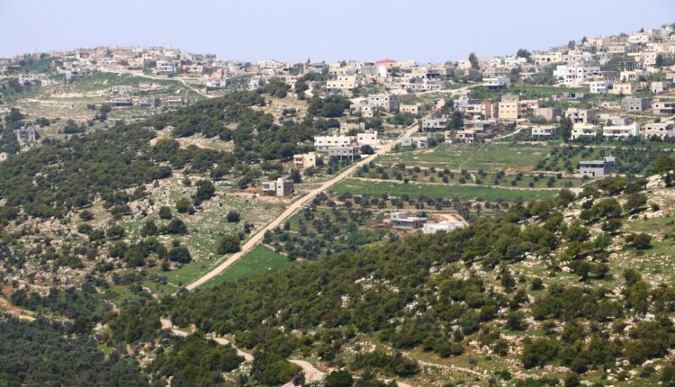 غابة برقش اربد.