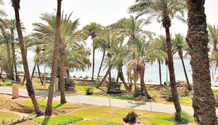 سياحة العوائل في العقبة أفضلها مكان حديقة الدرب العقبة