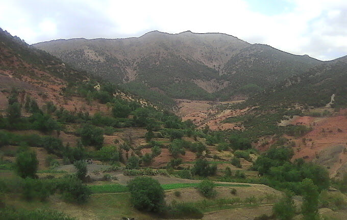واحة حسن مراكش