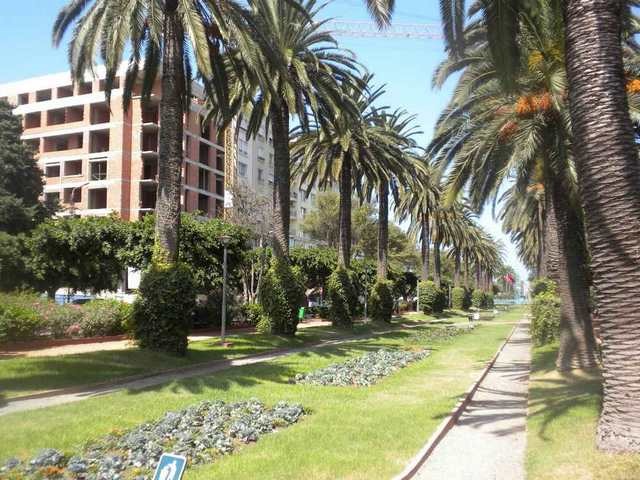 لا شك أن حديقة الجامعة العربية هي من أجمل أماكن المغرب